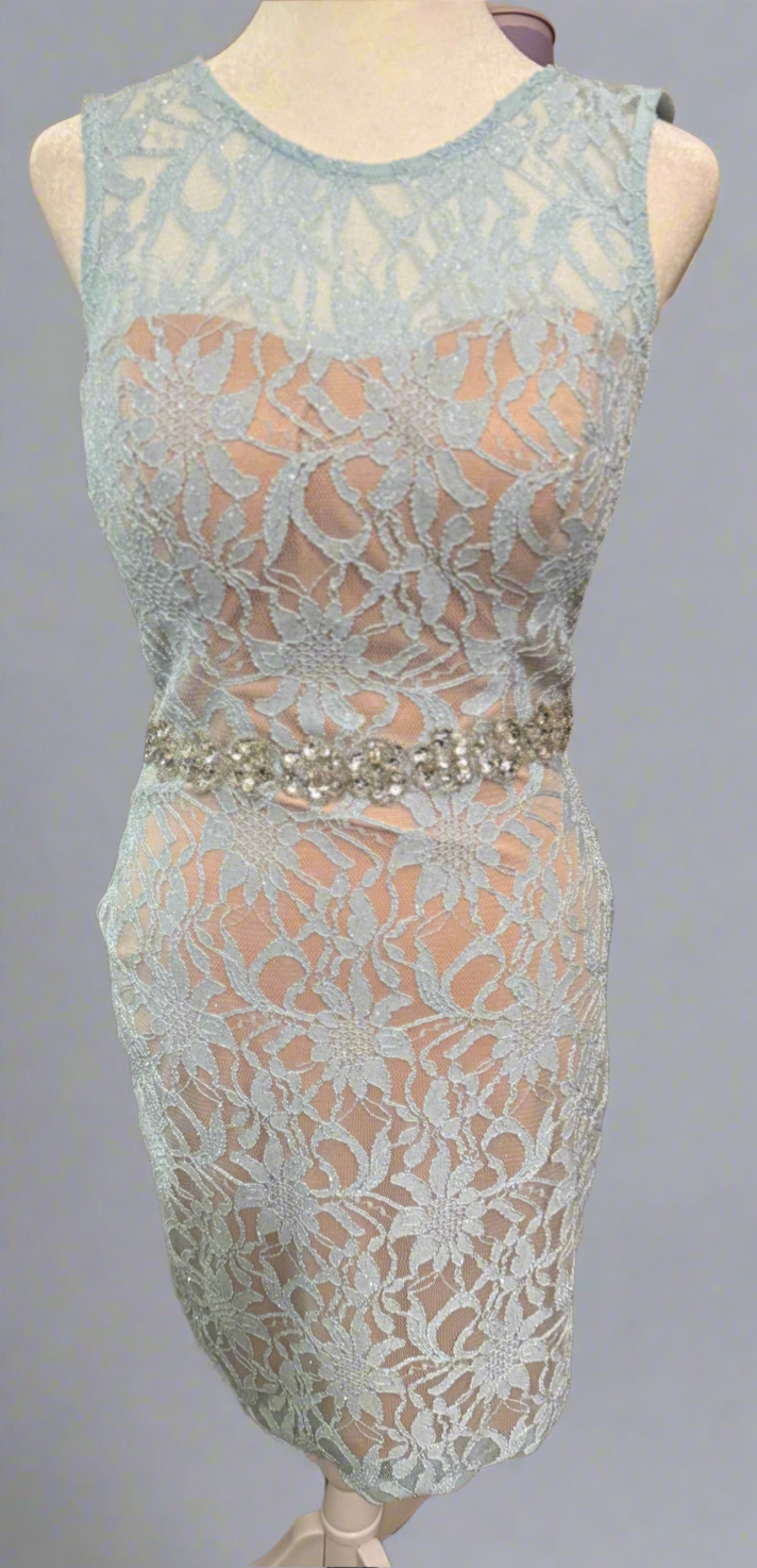 Luxe Floral Lace Evening Dress with Crystal Sash - Austin Boutique Collection | PuzzlePieces
