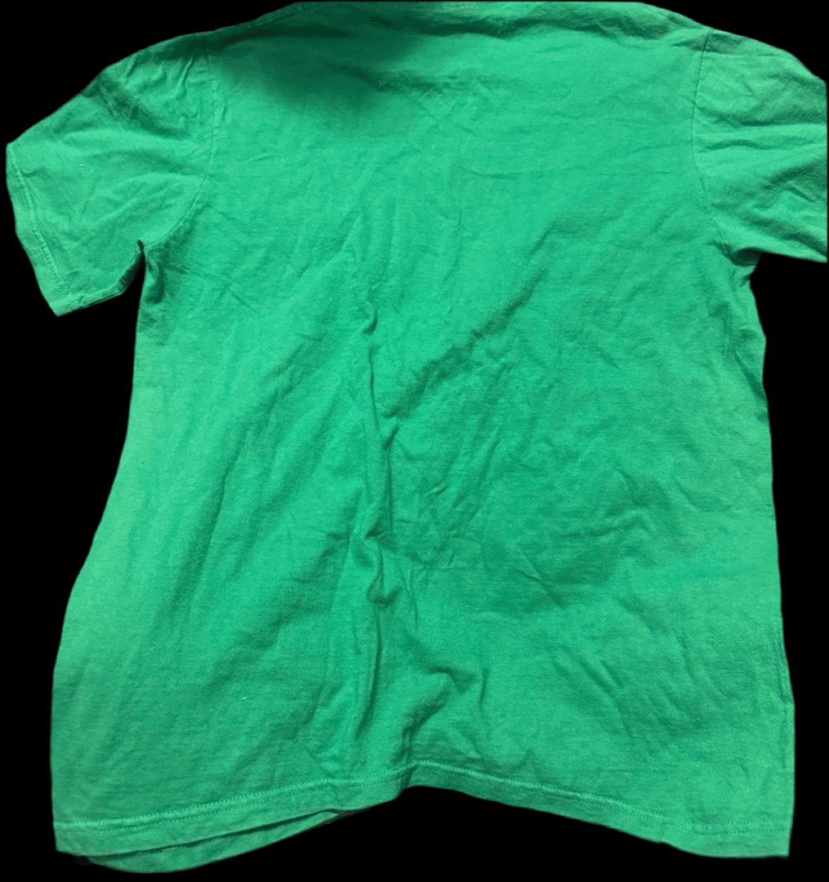 🐞 Lucky Ladybug T-Shirt - PuzzlePieces2326