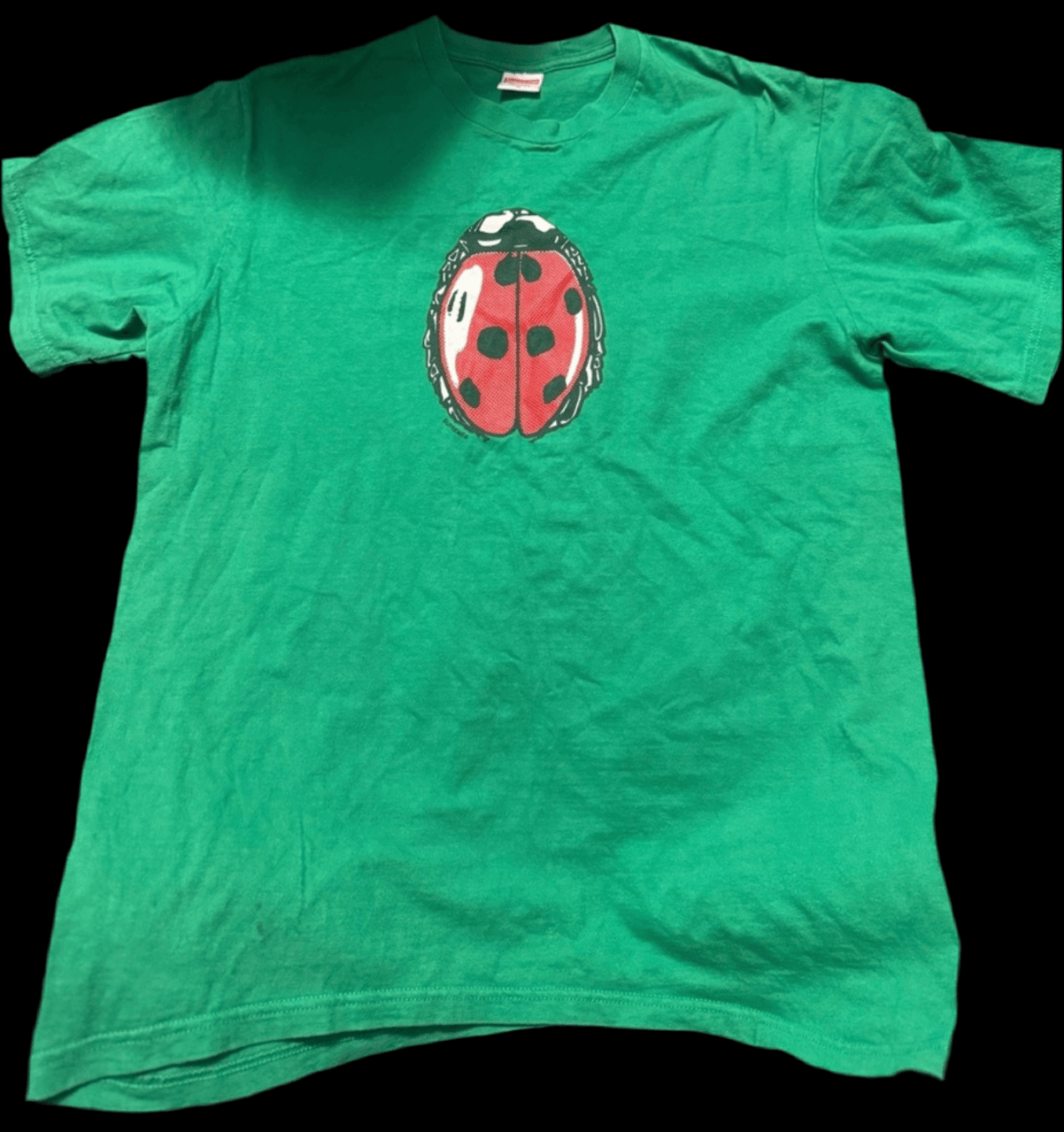 🐞 Lucky Ladybug T-Shirt - PuzzlePieces2326