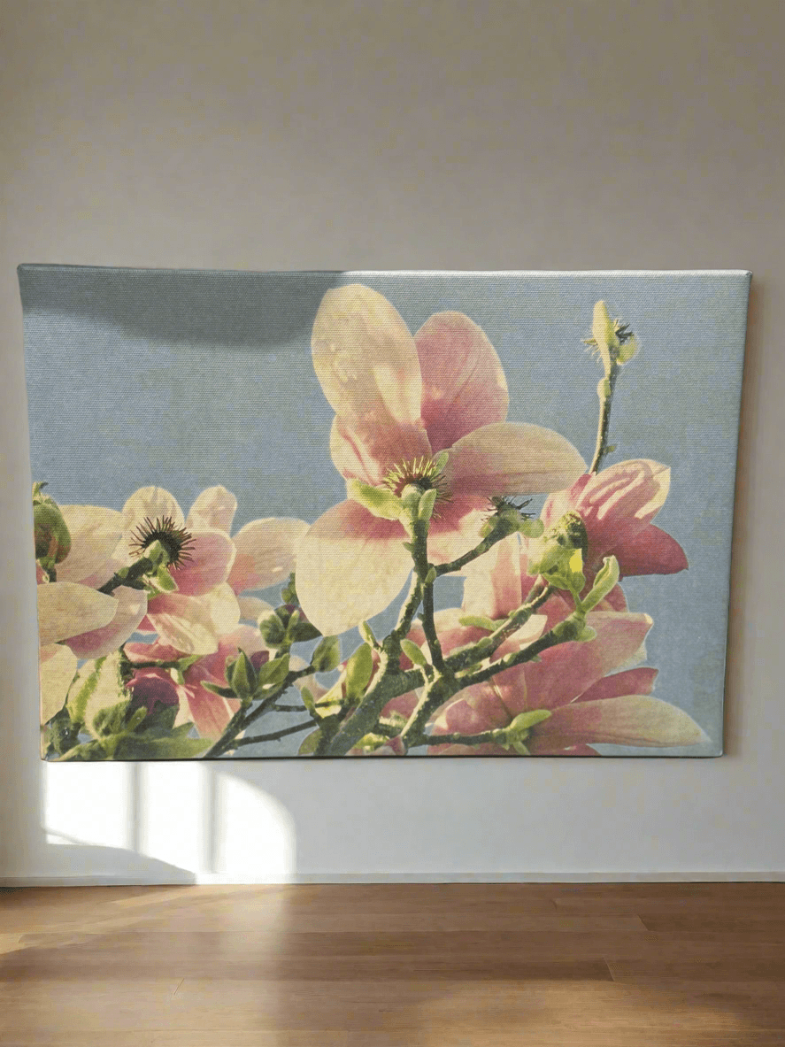 🌸 Spring Magnolia Blossoms Canvas Wall Art - PuzzlePieces2326