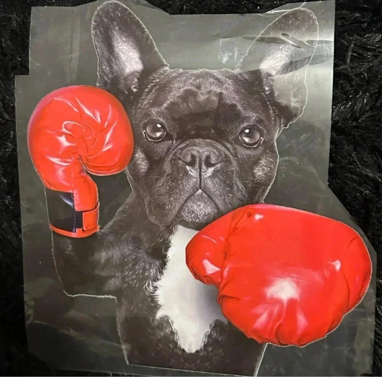 French Bulldog Boxing T-shirt | PuzzlePieces Austin