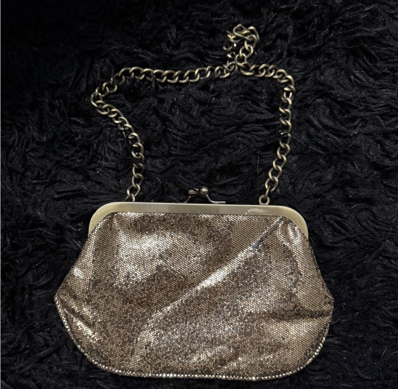 Express Vintage Glam Chain Clutch in Champagne Shimmer
