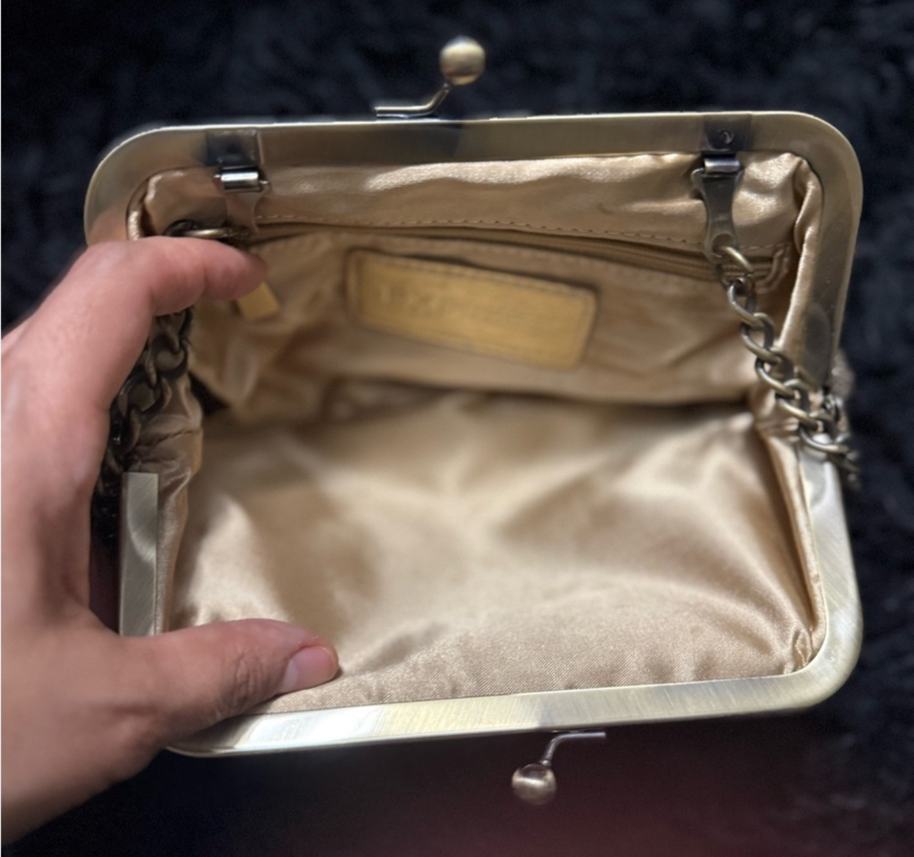 Express Vintage Glam Chain Clutch in Champagne Shimmer