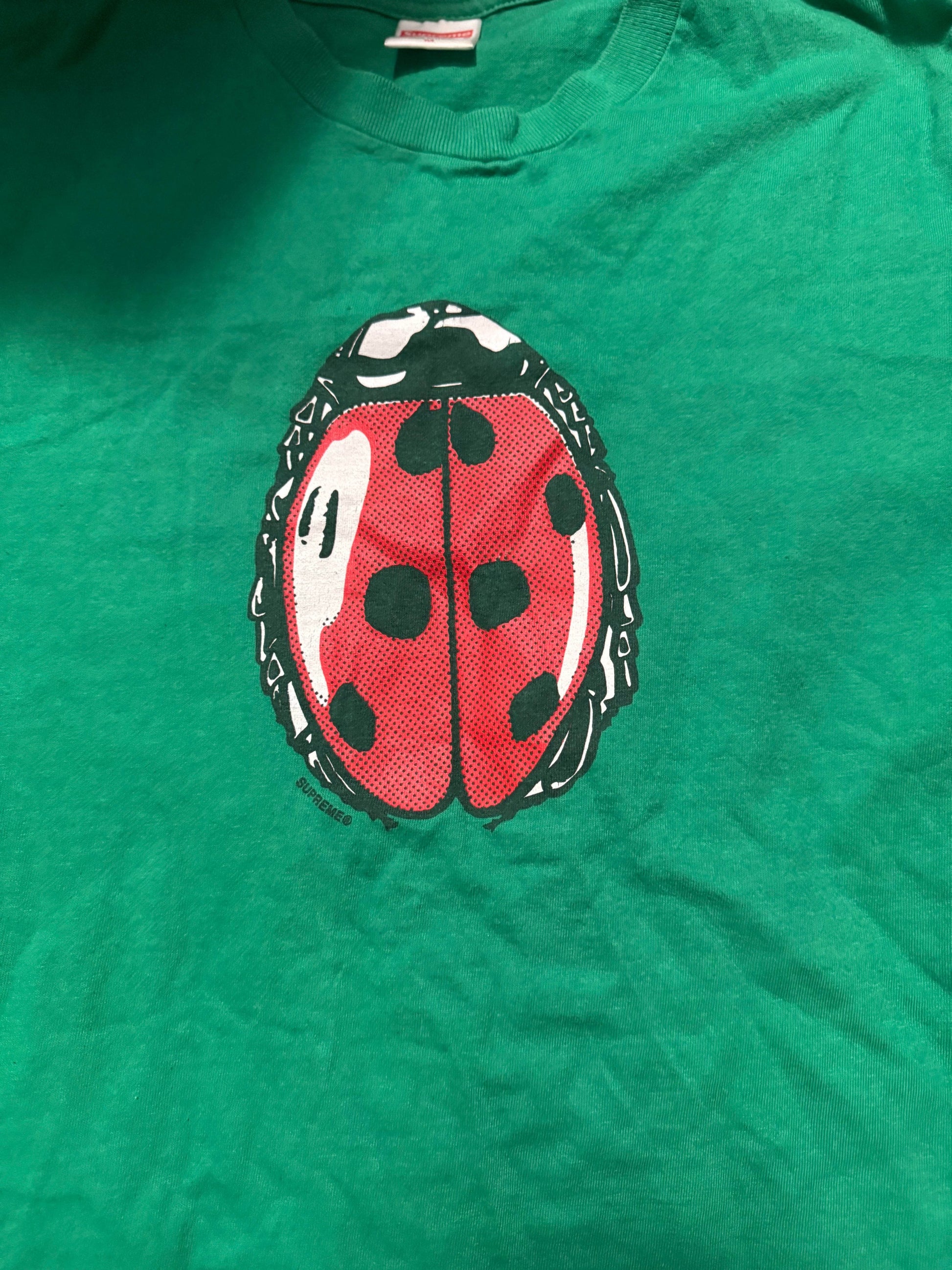 🐞 Lucky Ladybug T-Shirt - PuzzlePieces2326