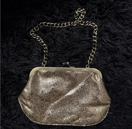 Express Vintage Glam Chain Clutch in Champagne Shimmer